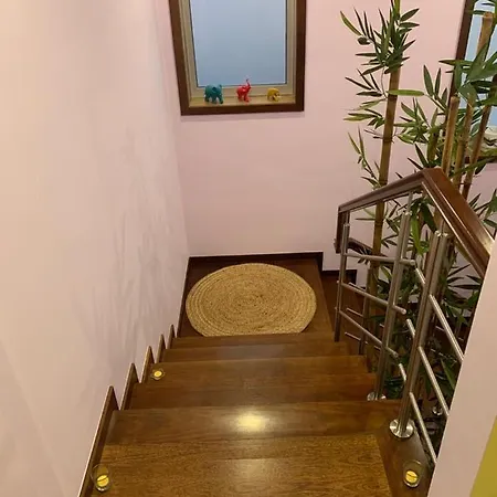 Chale Dos Alves Guest house Negreiros