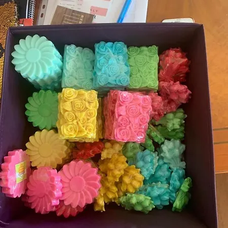 Casa de hóspedes Chale Dos Alves 3*