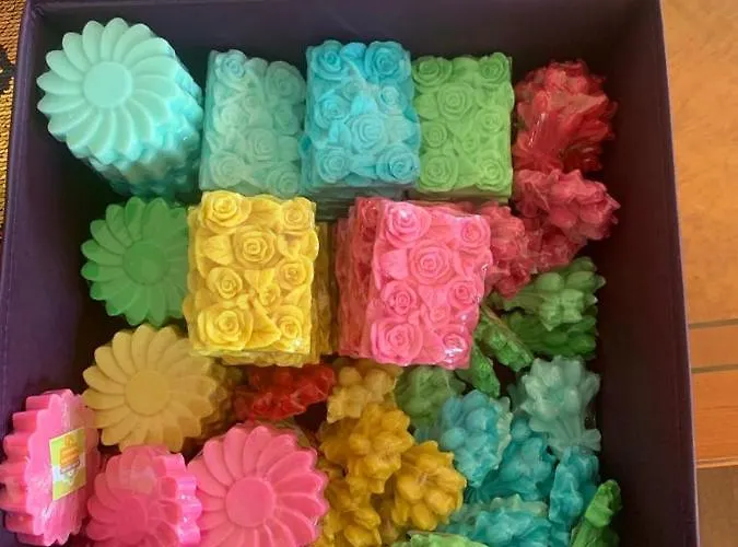 Πανσιόν Chale Dos Alves 3*